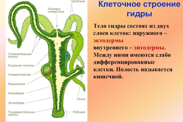 Kraken сайт kraken torion