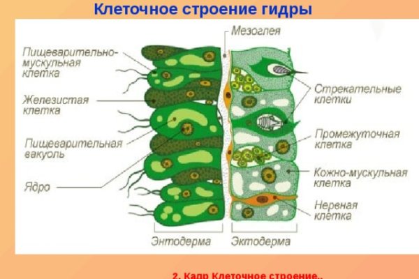 Почему не работает кракен